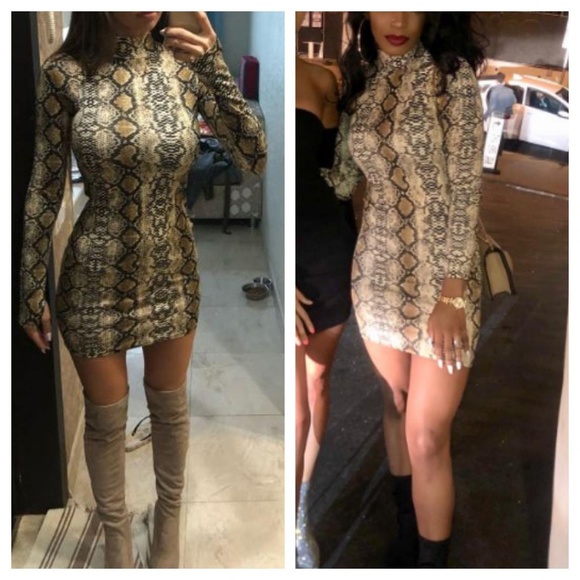 Into the Wild' Snake BodyCon Dress - Picture 7 of 7